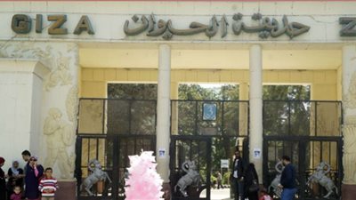 مسئول شباك تذاكر حديقة الحيوان ينفي زيادة الأسعار