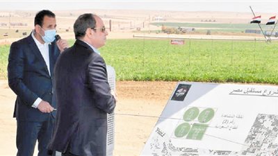 تآكل المساحة المنزرعة.. أكبر تحديات الاكتفاء الذاتى