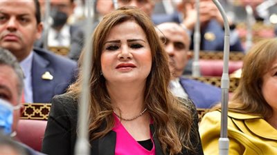 النائبة أمل رمزي: مشروعات 