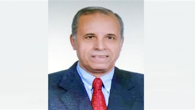 أستاذ القانون الجنائى يطالب البرلمان بتشريع للقضاء على فوضى الإفتاء الدينى