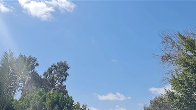 شمس ساطعة واستقرار حالة الطقس في الفيوم