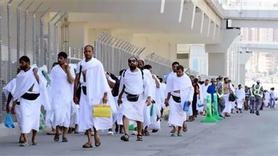 استقرار الحجاج المصريين في السعودية.. لا توجد حالات كورونا