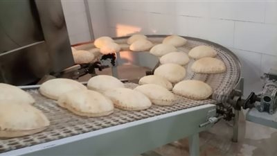 محافظ الدقهلية يحيل 46 مخالفة تموينية إلى النيابة العامة