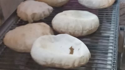 محافظ الدقهلية يحيل 54مخالفة تموينية إلى النيابة العامة