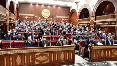 الشيوخ يوافق على حرمان النائب مصطفى سالمان من أعمال المجلس لنهاية دور الانعقاد الحالي
