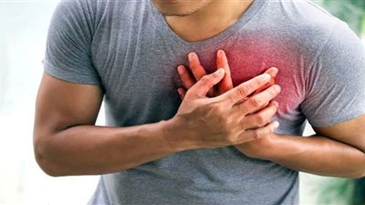 10 أطعمة تحميك من أمراض القلب