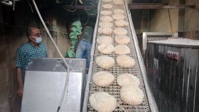 محافظ الدقهلية يحيل 50 مخالفة تموينية للنيابة العامة