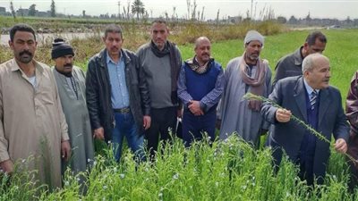 زراعة الشرقية تُنفذ يوم حقلي ارشادي لمزارعي ديرب نجم للنهوض بمحصول الكتان