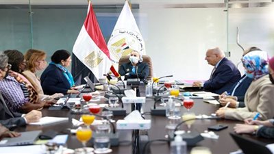 وزيرة البيئة تناقش مع بعثة الأمم المتحدة خارطة الطريق لمؤتمر شرم الشيخ للمناخ COP27