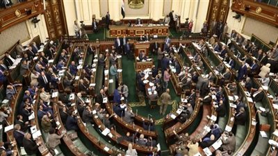 رياضة النواب : الزيارات الميدانية لمراكز الشباب هدفها وضع حلول سريعة للمشكلات