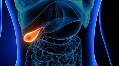 علاقة حصوات المرارة بأمراض القلب.. أطباء يوضحون