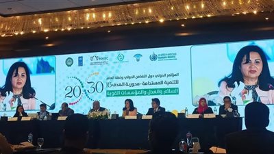 مشيرة خطاب تشيد بدور الشبكة الإفريقية لحقوق الإنسان في مجابهة تحديات القارة
