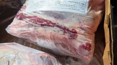 تحرير 9 محاضر وضبط 3 أطنان لحوم وأسماك وجندوفلي مخالفة بالشرقية