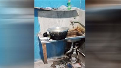 إعدام 2 طن أغذية فاسدة وغلق ٤٣ منشآت مخالفة بالشرقية