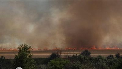 أوكرانيا تحرق حقول القمح بمنطقة خيرسون