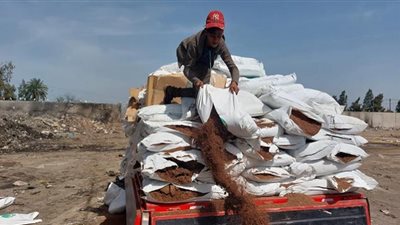 إعدام 5 أطنان مركزات أعلاف مستوردة بالغربية