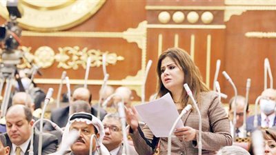 النائبة أمل رمزى تتقدم بتعديلات جديدة على قانون التأمين الموحد