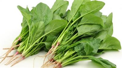 فوائد السبانخ في فقدان الوزن