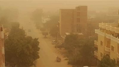 محافظ الوادي الجديد يقرر انتهاء العمل بالمصالح الحكومية والمدارس بسبب سوء الأحوال الجوية