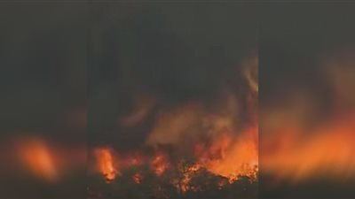 اشتعال حرائق هائلة في شمال المغرب بسبب الطقس.. والسكان يهربون (فيديو)