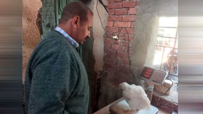 استمرار مرور لجنة المتابعة على سوق الخضار ومنافذ بيع الدواجن بالقصير