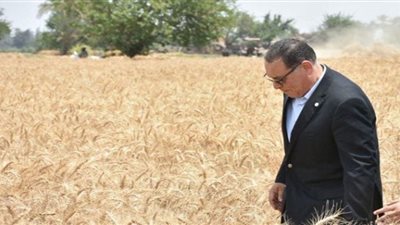 محافظ الشرقية: توريد 58 طن قمح اليوم للشون والصوامع