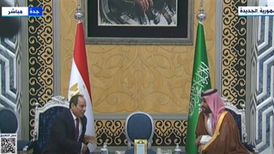 ولي العهد السعودي يستقبل السيسي لدى وصوله للمشاركة في قمة جدة (فيديو)