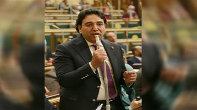 أيمن محسب يقترح إدراج علاج الأمراض النفسية ضمن التأمين الصحي والعلاج على نفقة الدولة