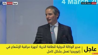 عاجل| الطاقة الذرية: على روسيا وأوكرانيا عدم المساومة على السلام النووي