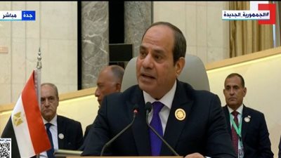 السيسي: لم يعد مقبولاً لأبناء أمتنا أن يكون من بينهم نازح أو لاجئ (فيديو)