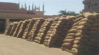 إستلام نحو 230 ألف و240 طن قمح بنسبة توريد زادت عن 100% 