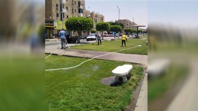 الإسماعيلية تعمل على صيانةِ وتجميل المُسطحات الخضراء والحدائق العامة