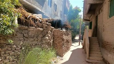 قنا تقوم بحصر شوارع مدينة دشنا المغلقة لإعادة فتحها