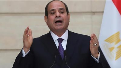 فرج: الرئيس قدم روشتة لإحلال السلام بالمنطقة وعلاج أزماتها خلال قمة جدة
