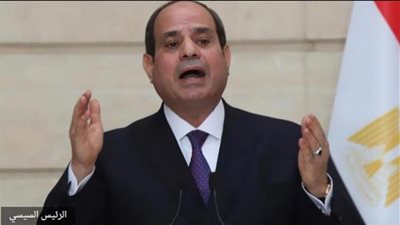 السيسي أكد على مركزية القضية الفلسطينية في كلمته بقمة جدة (فيديو)
