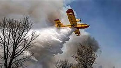 قتيل وإجلاء ألف عائلة بسبب حرائق الغابات في المغرب| شاهد