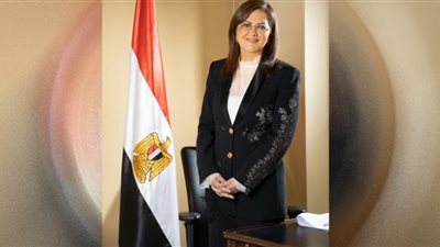 السعيد: طرحنا رؤية مصر للتعافي من آثار الجائحة والعالم يشيد بمبادرة 