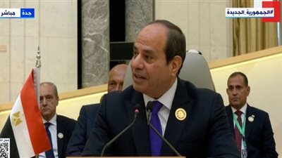 السيسي: قمة جدة أتت في لحظة استثنائية من تاريخ العالم والمنطقة العربية (فيديو)