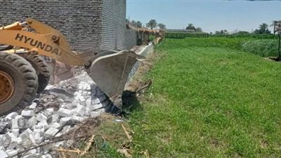 إزالة 107 حالة تعد على الأراضي الزراعية ببني سويف