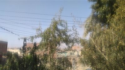 أسوان.. طقس مشمس وشتاء دافئ