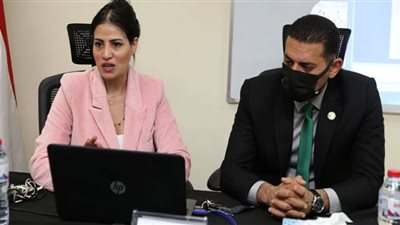 القومي للمراة ينظم ورش تدربية لأعضاء نيابات الأسرة حول 