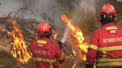 حرائق ضخمة تلتهم الغابات في فرنسا وإسبانيا والبرتغال (شاهد)