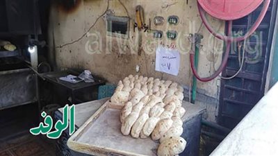 الرغيف السياحي بـ 70 قرش وقابل لزيادة بقنا