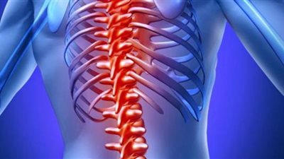 علماء يكتشفون مواد هجينة جديدة تحل محل الغضروف (تفاصيل)