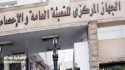 الإحصاء:16.3 مليون فدان المساحة المحصولية وزراعة 3.4 مليون فدان قمح