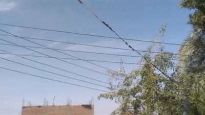 تعرف على حالة الطقس اليوم في أسوان