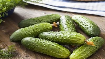 الخيا والصحة العقلية والحماية من الاكتئاب.. طبيبة تكشف العلاقة