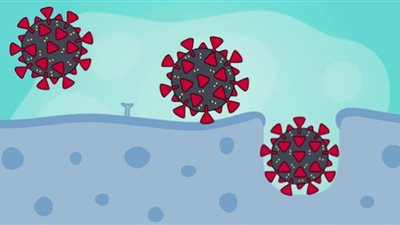 أعراض فيروس كورونا في الموجة السادسة وطرق الوقاية منها