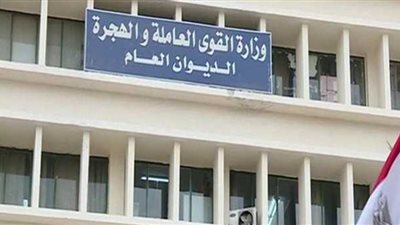 وظائف القوى العاملة.. طريقة التقديم