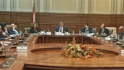 مشيرة خطاب: الإستراتيجية الوطنية رفعت سقف حقوق الإنسان في مصر